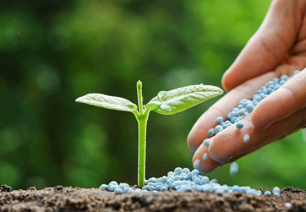 Controlled Release Fertilizers Market is anticipated to witness an impressive growth in the forecast period with a CAGR of 6.16% through 2029