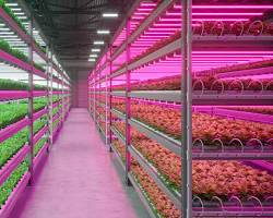 Vertical Farming Market by Growth Mechanism (Aeroponics, Hydroponics, Aquaponics), Structure (Building-Based Vertical Farms, Shipping Container-Based Vertical Farms)