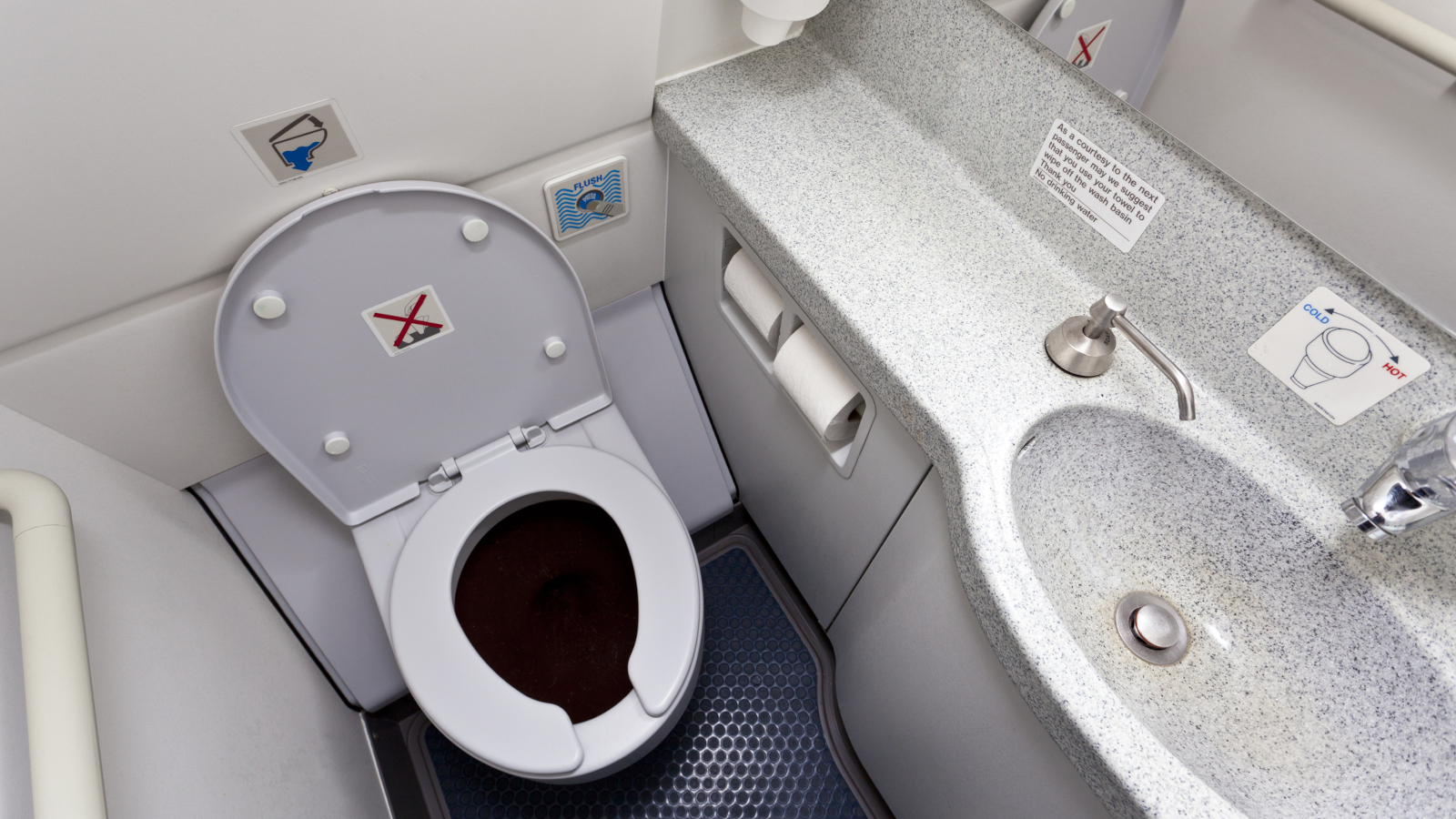 Aircraft Lavatory Systems Market